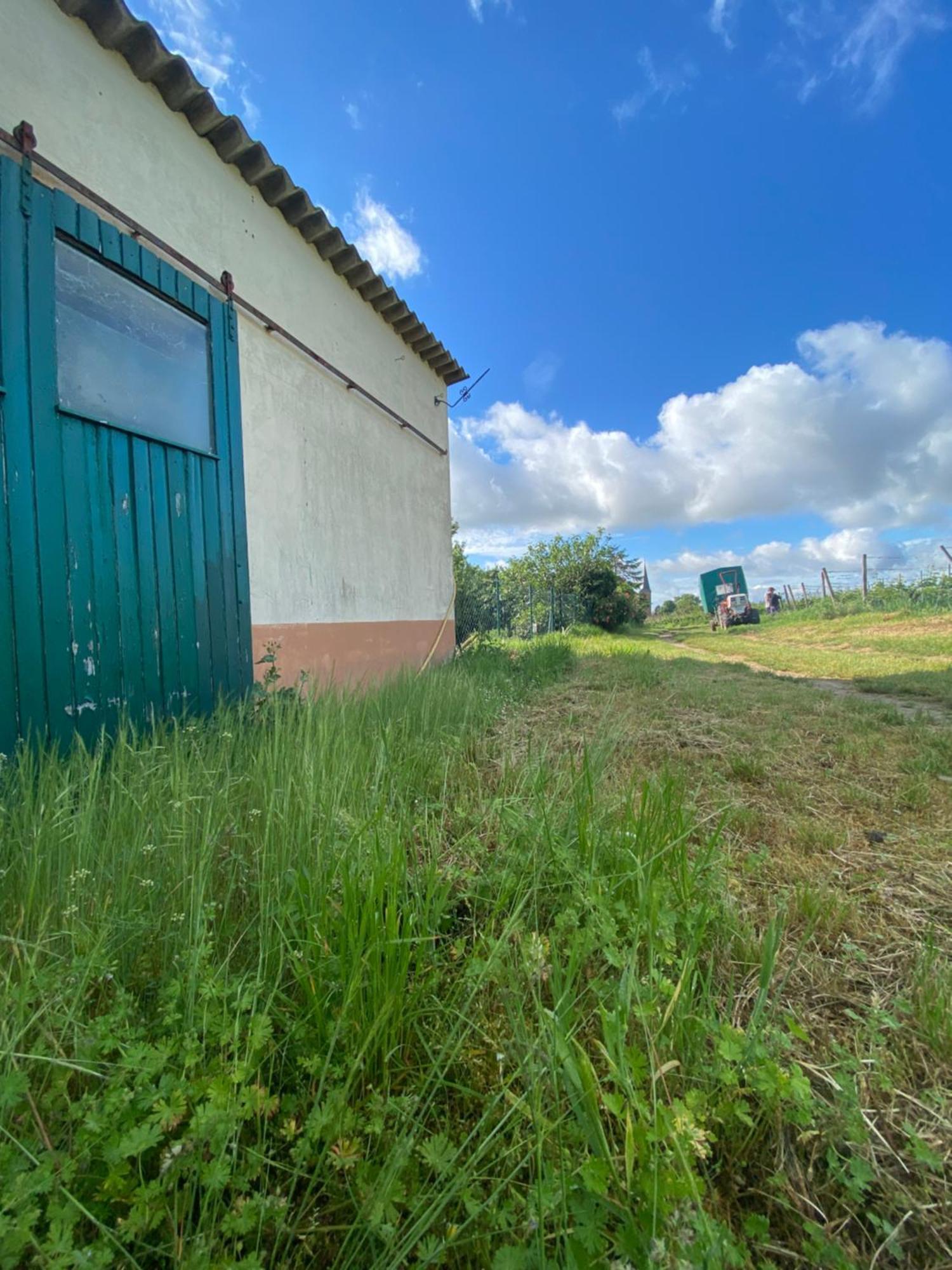 Zum Schockelgaul Gaestehaus Forst an der Weinstrasse Exteriér fotografie