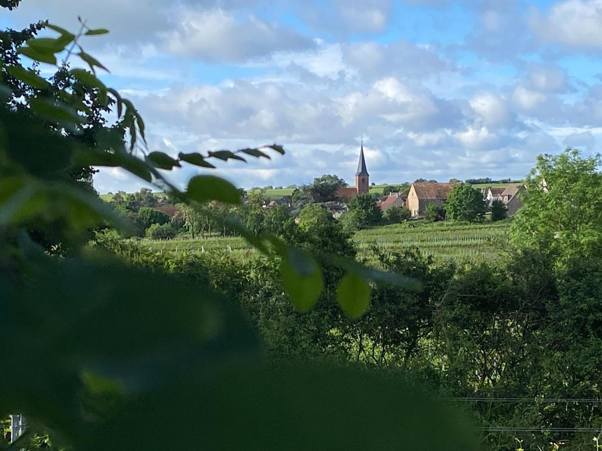 Zum Schockelgaul Gaestehaus Forst an der Weinstrasse Exteriér fotografie